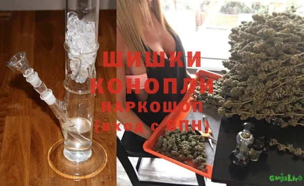 амф Майский