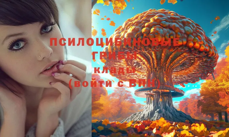 кракен зеркало  Новоаннинский  Псилоцибиновые грибы Psilocybe 